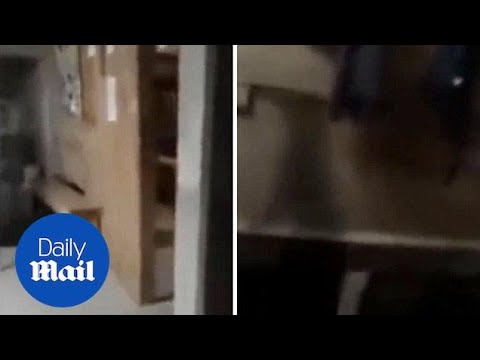 Terrifying moment night security guard films ghostly shadow - Daily Mail