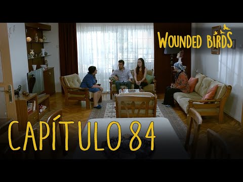 Wounded Birds (Yaralı Kuşlar) | Capítulo 84 en Español