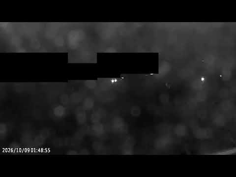 天神川 下流 のライブ映像