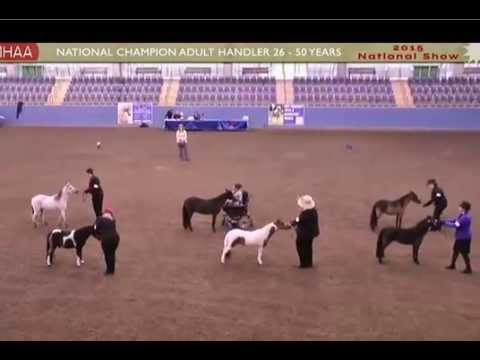 Wideo: American Miniature Horse Rasa Koni Hipoalergicznych, Zdrowych I Długowiecznych