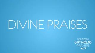 The Divine Praises (English)