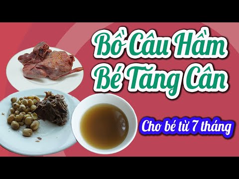 Video Hầm BỒ CÂU ???? Bồi Bổ Cho Bé TĂNG CÂN NHANH Bụ Bẫm... - youtube