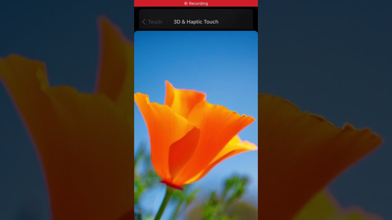 MacOS Ventura Wallpaper: Looks Like the 3D Touch Test Photo