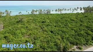 Large beach-front plot for sale in Zanzibar