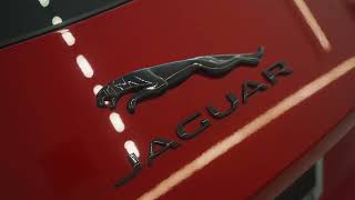 Jaguar Virginia Beach BG