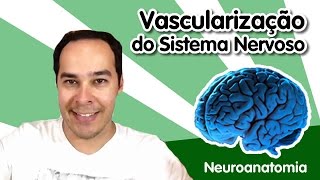 Vascularização do Sistema Nervoso