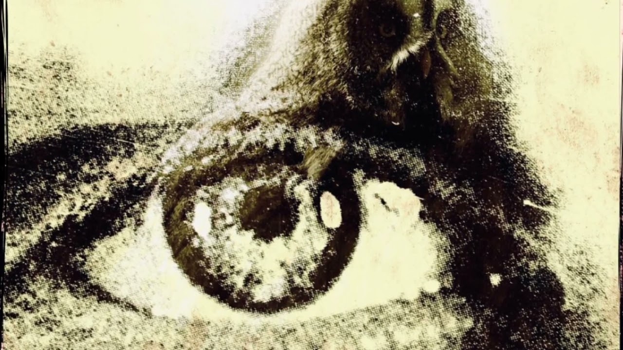 Kieldfal & E J R M - Aurora Fields bekijken op YouTube Kieldfal & E J R M - Aurora Fields bekijken op YouTube