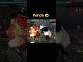 Panda 🐼 Weird Fight #panda #shorts