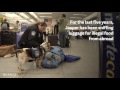 Border Patrol beagle retires