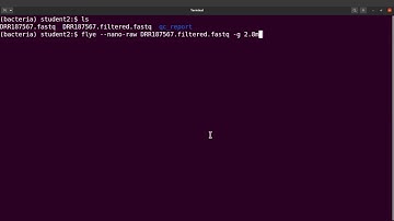 How to Specify Genome Size when using Flye for Genome Assembly