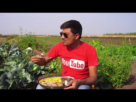 authentic-gujarati-food-cooking-in-a-village-|-unknown-recipes