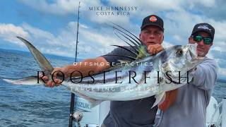 Roosterfish Costa Rica: Offshore Tactics and Techniques | In The Spread Fishing Videos