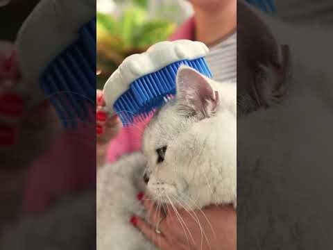 Набор расчесок-детанглеров для домашних питомцев Pet Angel Re:born видео