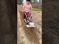 New600HPMiniTiller MultiPurposeMachine: Tilling, Weeding, Trenching, Leveling #mini #tiller #shorts