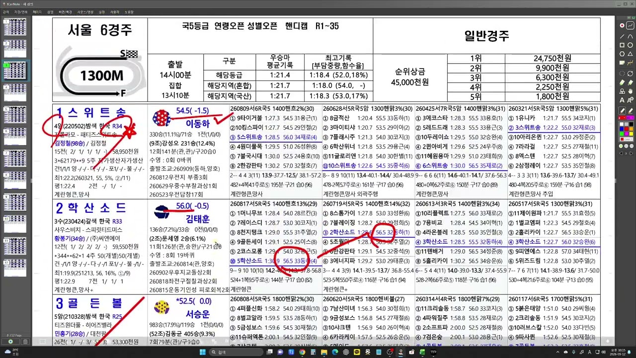 9월13일  일요경마  예상