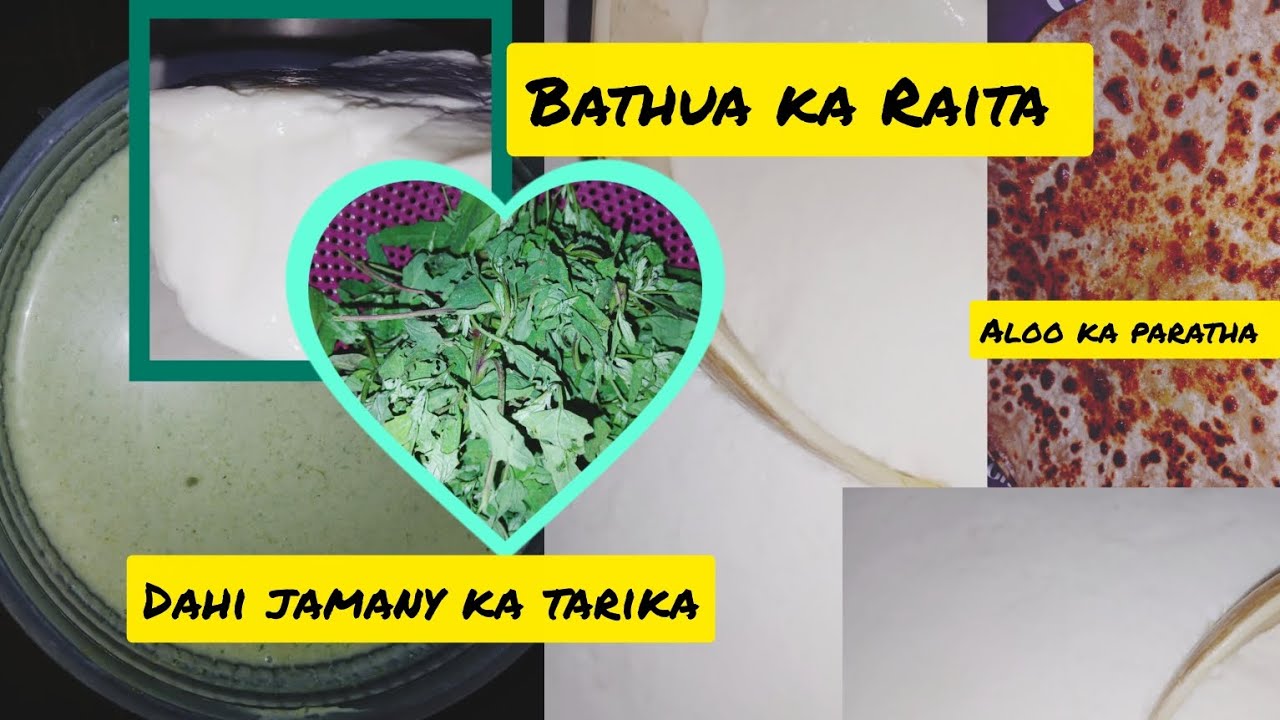 Dahi jamany ka tarika + Bathua ka Raita Recipe by ShamimSultana 