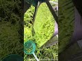 a highly stress-relieving cutting process