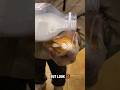 Human vs Robot Latte Art – Who Did It Better? #shorts #coffee #latteart #satysfying #robot #viral