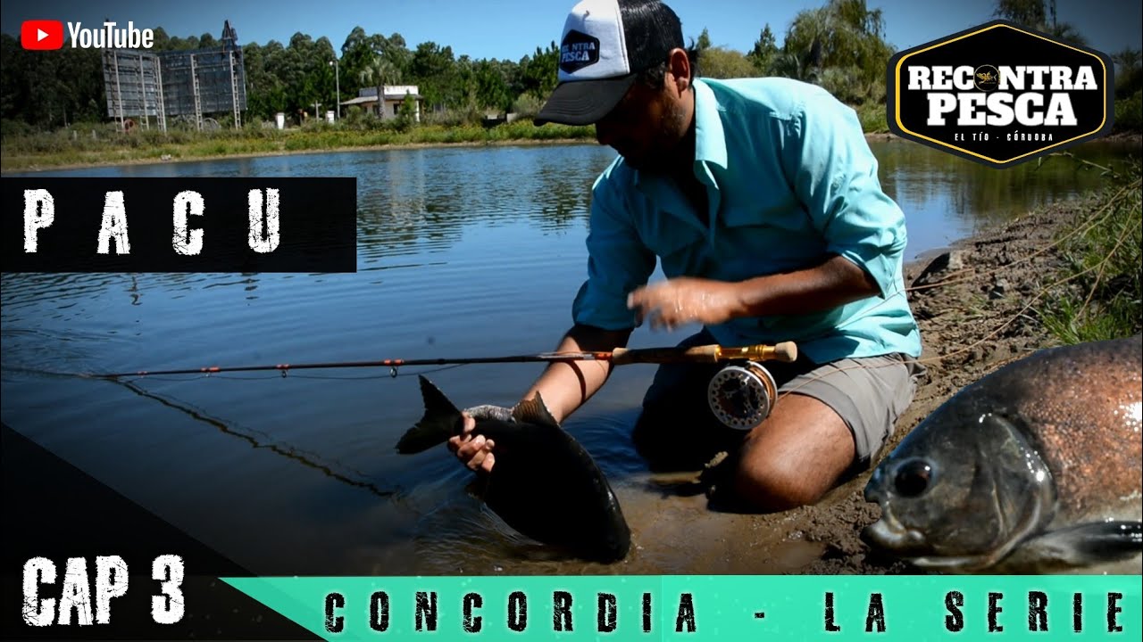 PESCA de PACU con MOSCA🐠 NO VAS A PODER CREER LA CANTIDAD QUE HAY🤯❗❗ 