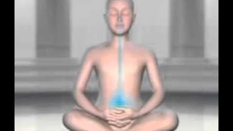 How to Meditate Properly: Meditation Techniques for Beginners