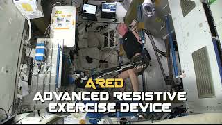 Anti-Gravity Treadmill and Resistive Exercise in Space