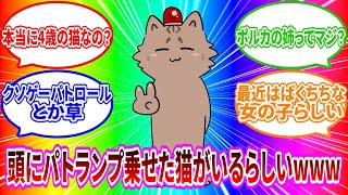 スタックボールうますぎ猫によるスパチャお礼配信！