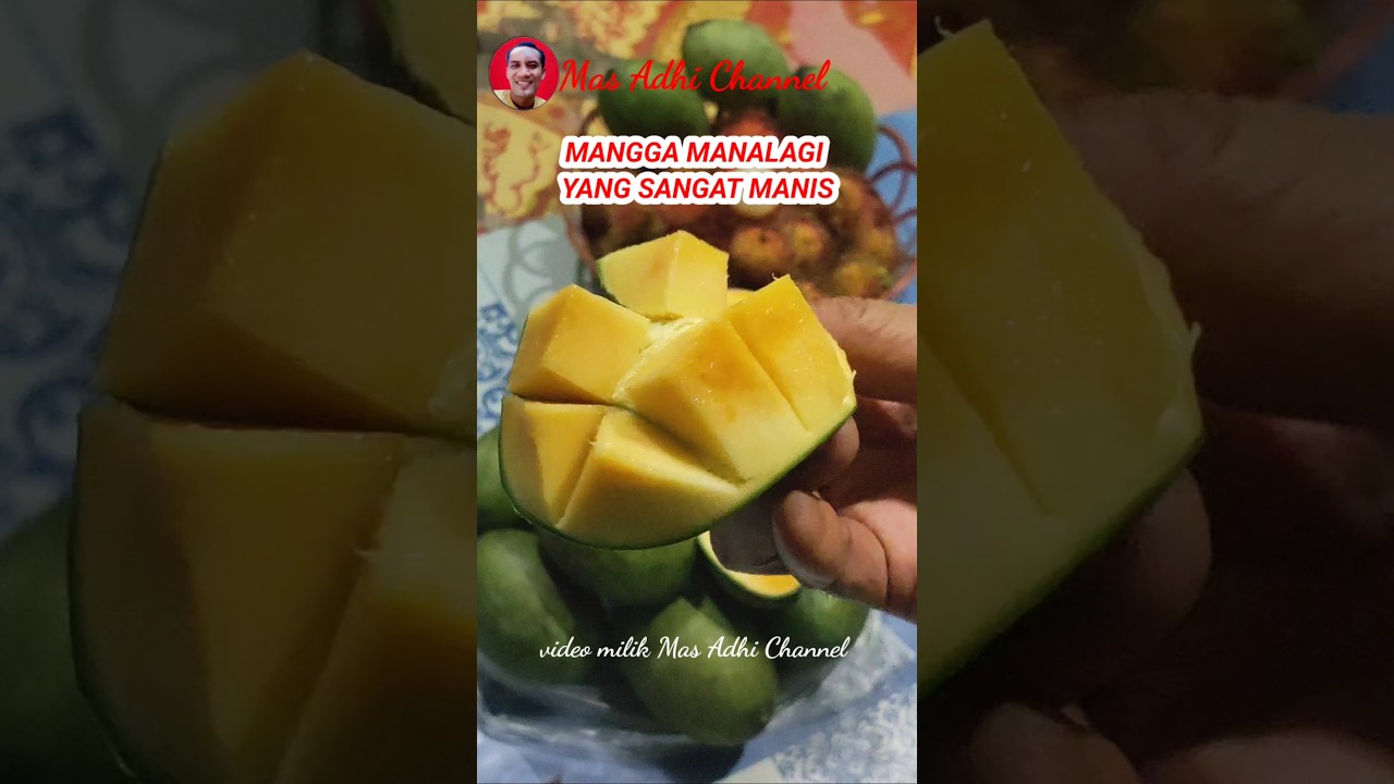 MANGGA MANALAGI YANG SANGAT MANIS||Mas Adhi Channel #cooking