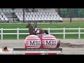 Kheops de bois mesange  csi3 grand prix 150  gorla minore juillet 2021