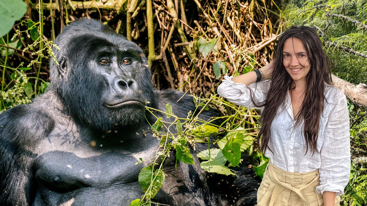 48 Hours Tracking Mountain Gorillas in Bwindi, Uganda
