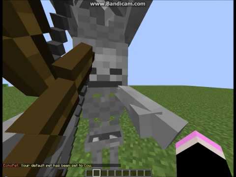 Tutorial // EchoPET