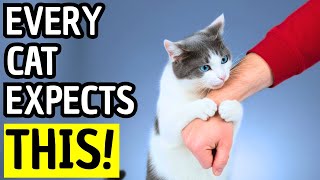 15 Unspoken Rules of Cats: CRITICAL Mistakes Most Owners Make