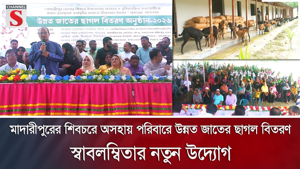 মাদারীপুরের শিবচরে অসহায় পরিবারে উন্নত জাতের ছাগল বিতরণ; স্বাবলম্বিতার নতুন উদ্যোগ | Channel S News