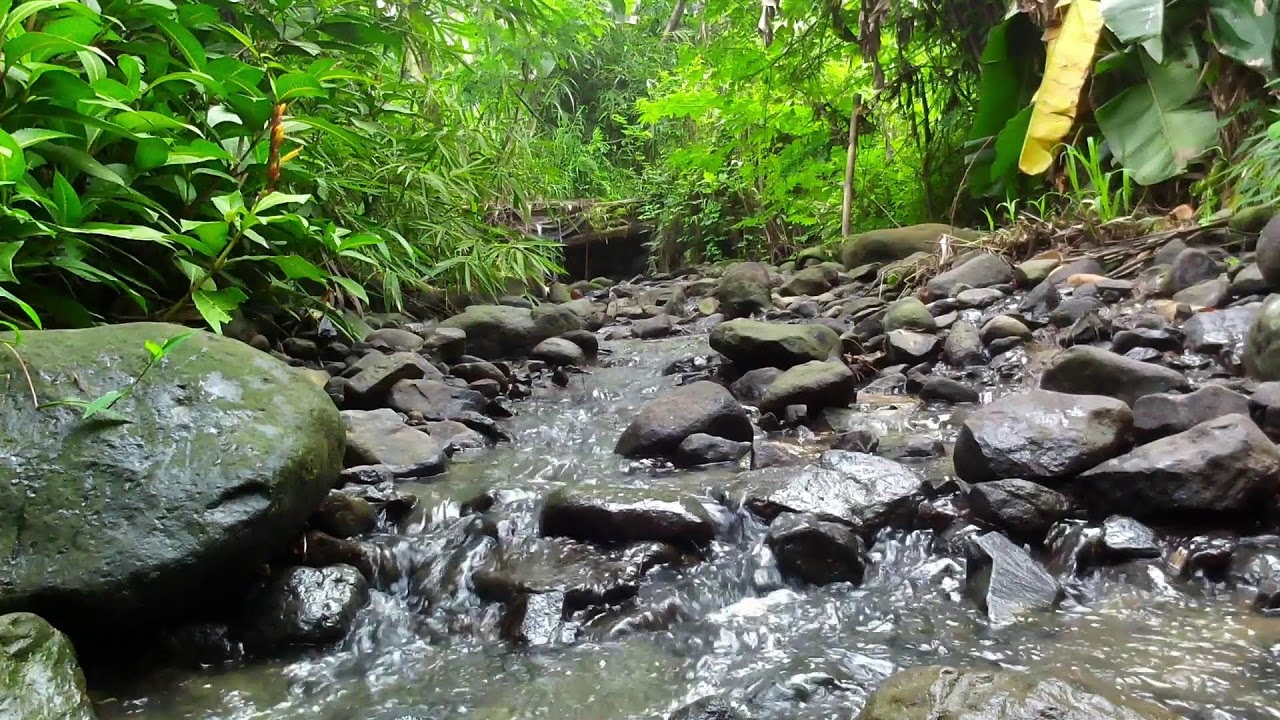 Relaxing River Sounds - stress therapy to relieve panic