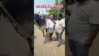 మన అనంతపురం మార్కెట్ #telugu #prank #viral #videos