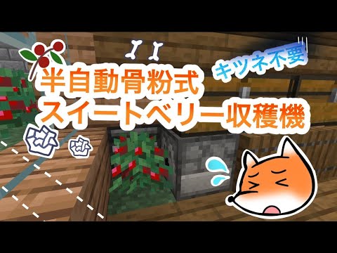 キツネ不要。半自動骨粉式スイートベリー収穫機【マイクラ】【ややクラ♯6】