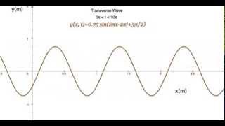 Transverse Wave 5 with Equation