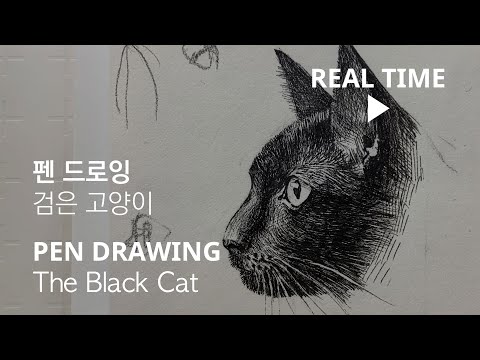 펜드로잉-검은 고양이 Pen Drawing - The Black Cat