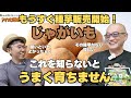 【じゃがいも大豊作への第一歩】絶対に失敗しない種芋の選び方と植え付け前の準備を徹底解説