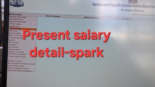Present salary detail-spark-kerala 