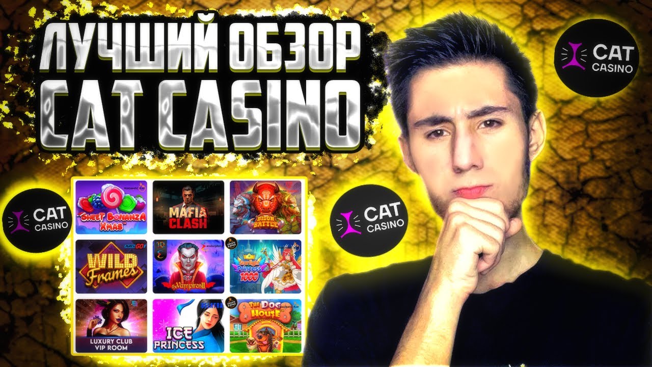 Cat casino зеркало cat casino6 reiting avtomatov