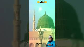 ya Mohammed karam kijiye#shorts#status#video#islamic#youtubeshorts#viral#trending