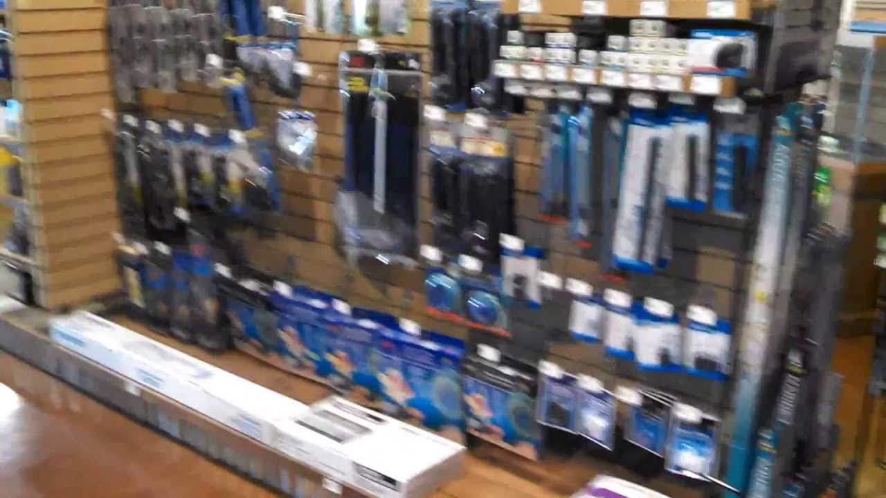 Pets Barn Store 10 Youtube