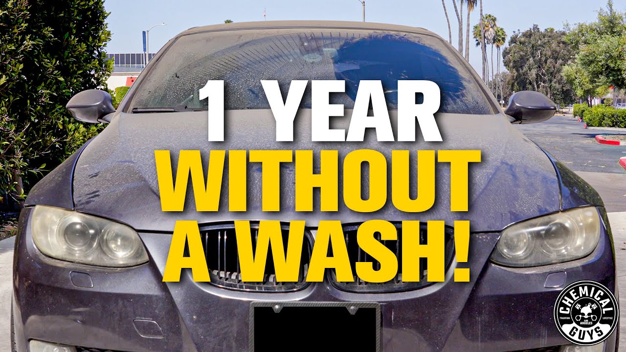How To Wash a Car That Hasn’t Been Touched in Over a YEAR!