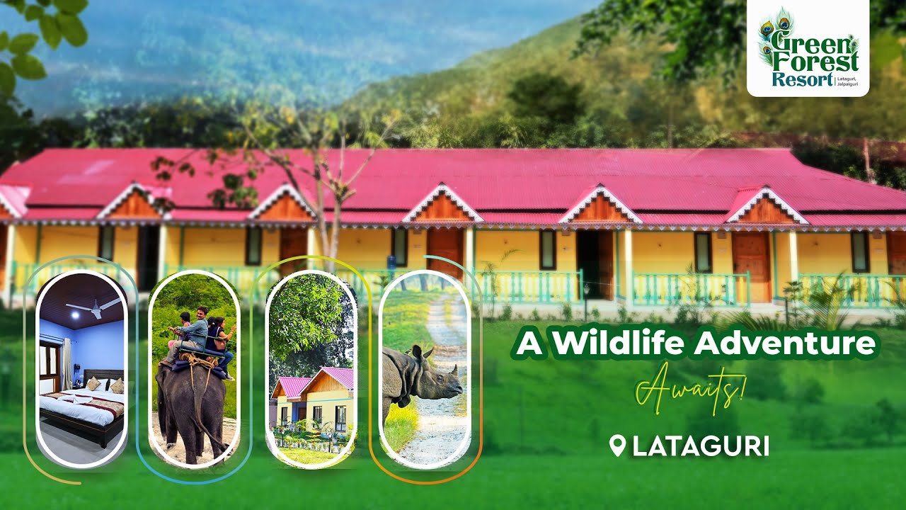 🌿 Escape to Nature’s Paradise | Green Forest Resort 🌄✨ 