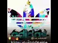 آدیداس آدیداس