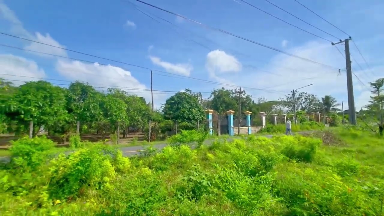 Đất vườn view núi minh đạm  giá tốt