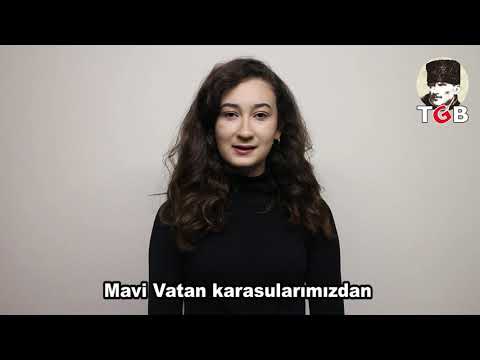 Mavi Vatan Nedir?