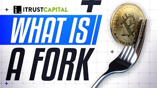 What is a Fork in Blockchain? screenshot 3