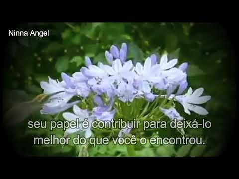 ☜♡☞...A VIDA É UMA DANÇA...☜♡☞ - ANDRÉ LUIS