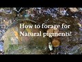 How to forage for Natural pigments!